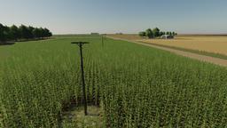 Farming Simulator 19 Terrain - Rowena, Texas, USA. Landscape