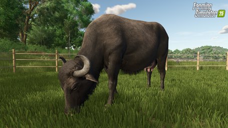 Water Buffalo Farming Simulator 25 Screenshot